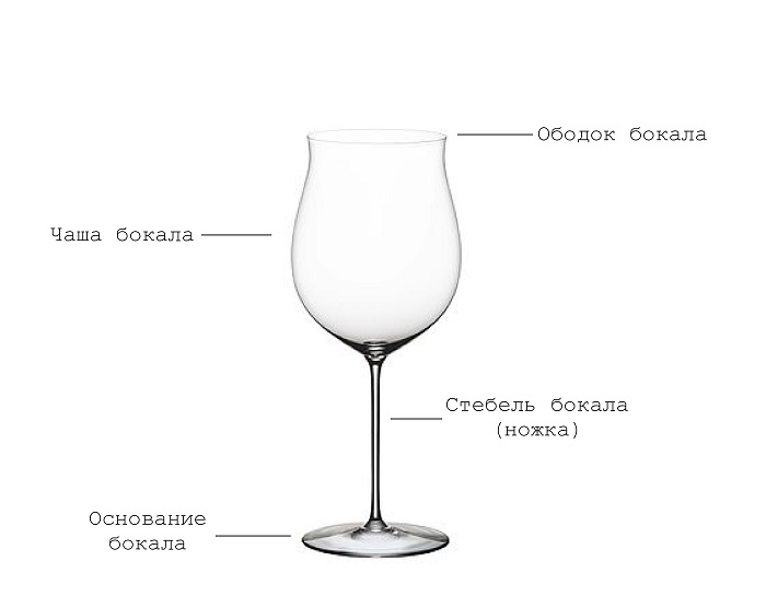 Описание частей бокала для вина