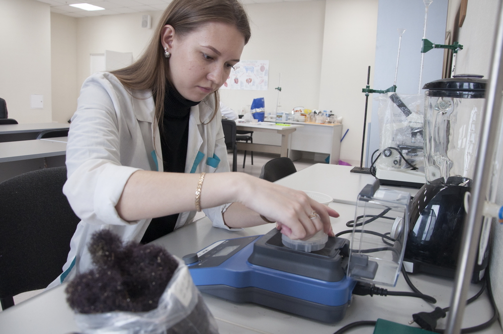 Российские ученые создали наношоколад с морскими водорослями
