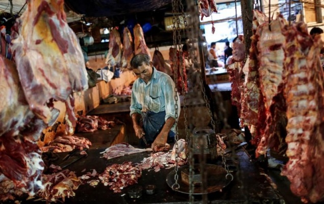 Импорт мяса из Индии ограничат из-за ящура