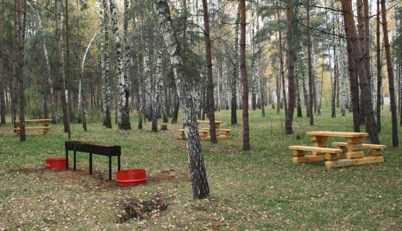 В Москве открыли более 250 зон для пикников