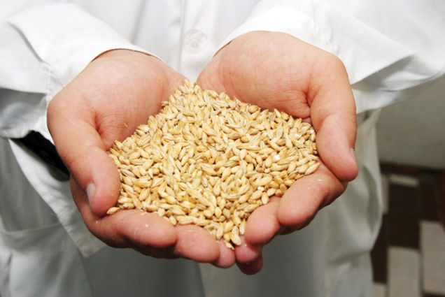 Пошлины на экспорт пшеницы просят отменить