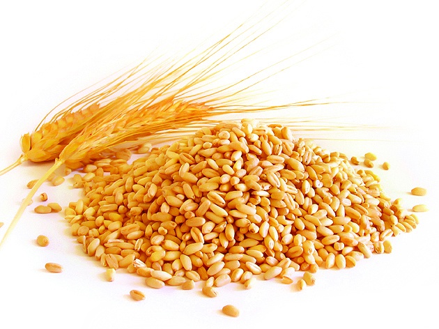 В 2014 году Россия увеличила сбор зерна на 12%