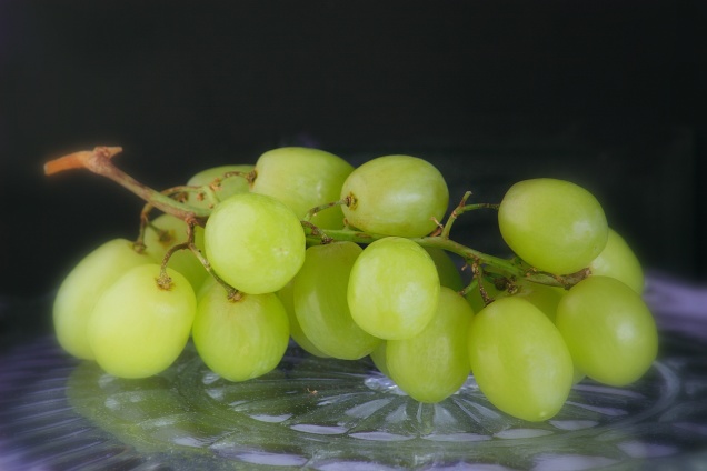 В Японии прошел чемпионат по выплевыванию виноградных косточек